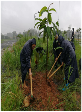 QQ图片20190627100111