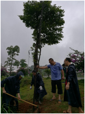 QQ图片20190627100101