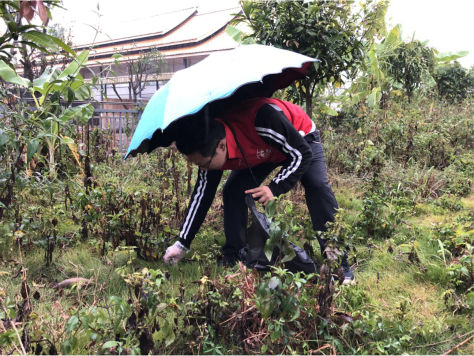 QQ图片20191231112353