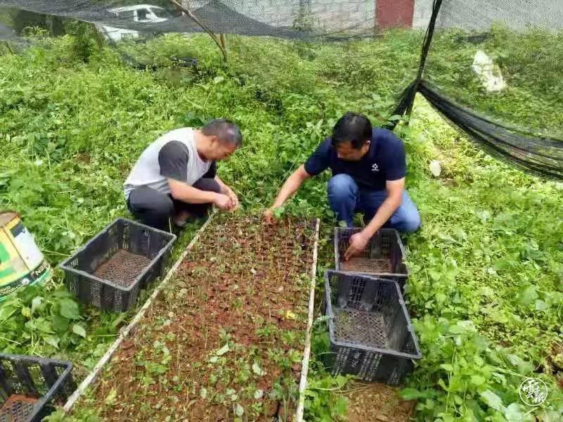 微信图片_20200212164423