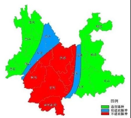 微信图片_20200331083954