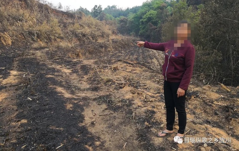 48c344950e367a85fc25267e71ec0b85