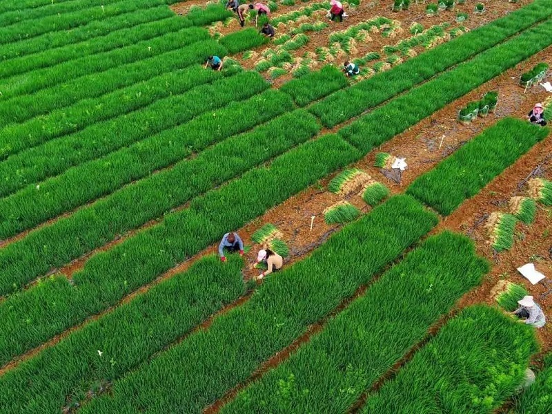 微信图片_20200610085444