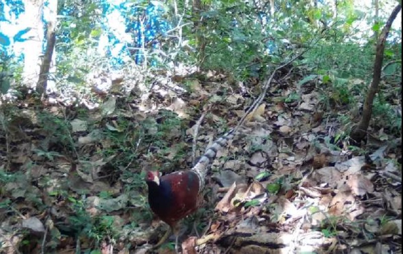 微信图片_20200630083936