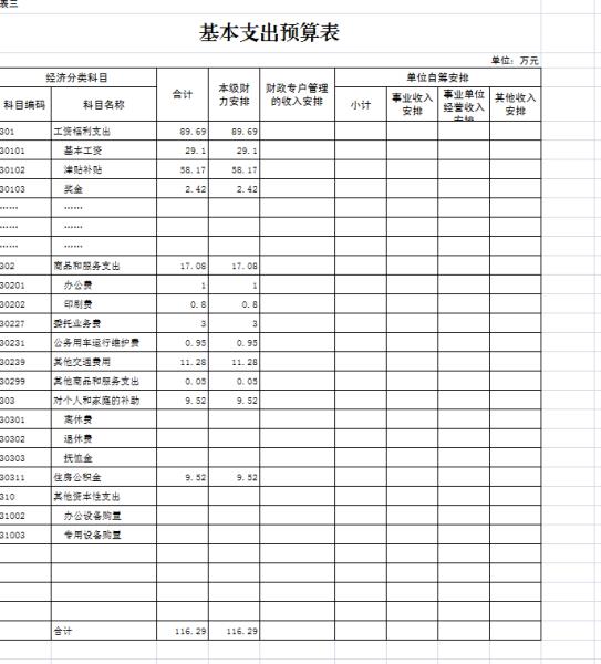 基本支出预算表