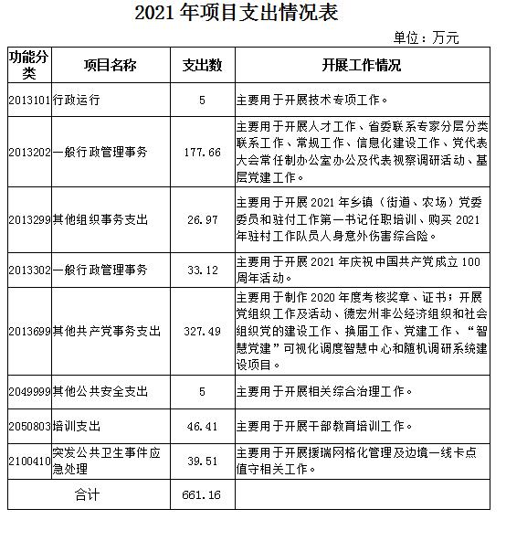2021年项目支出情况表