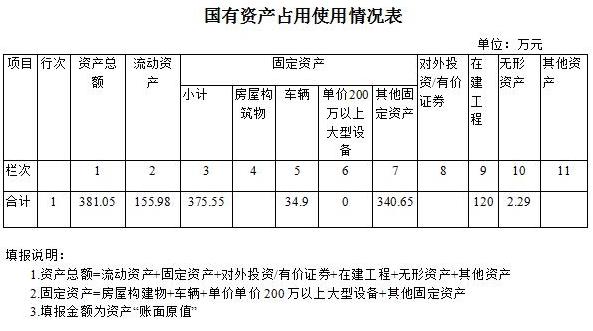 国有资产占用使用情况表1