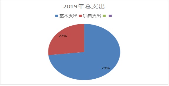 2019年总支出