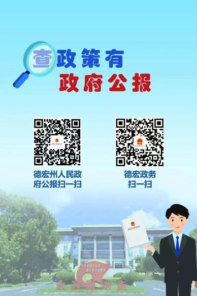 查政策有政府公报