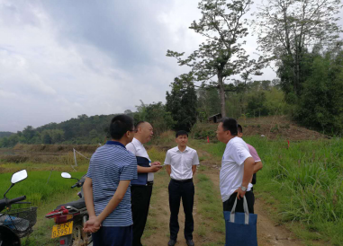 ZBF%KM~@X[((S2{P922ECEK