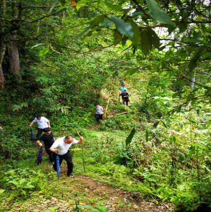 @@0B@S)E1NZG7DYZV]}]FH3