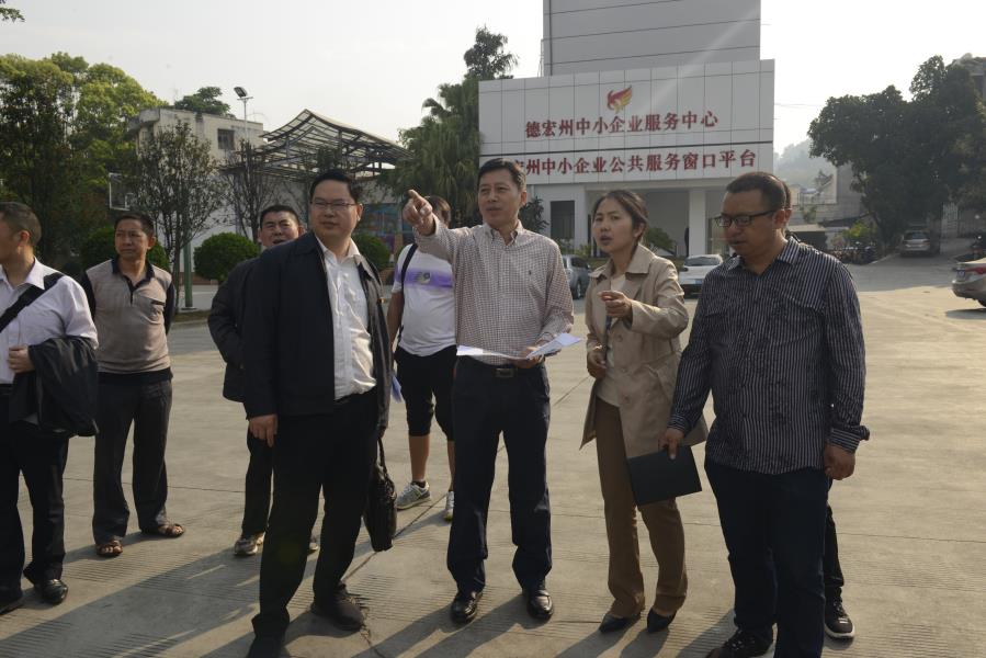 4月4日上午,德宏州委副书记,州人民政府州长卫岗到芒市第七小学,德宏