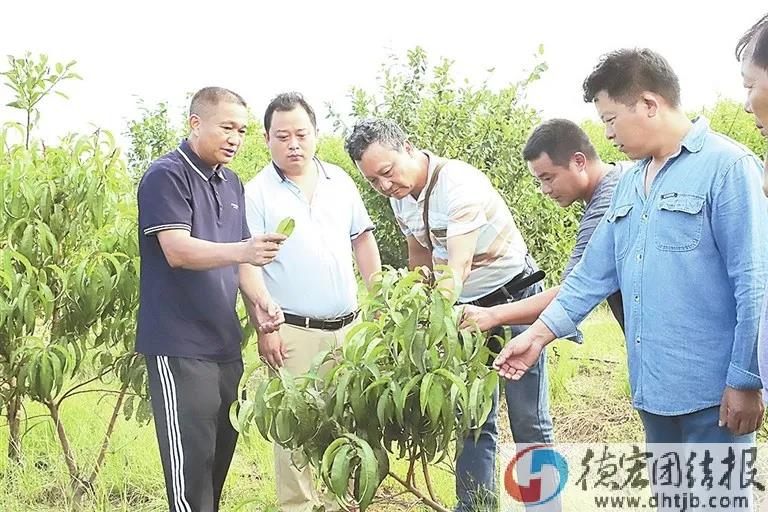 微信图片_20200908204046