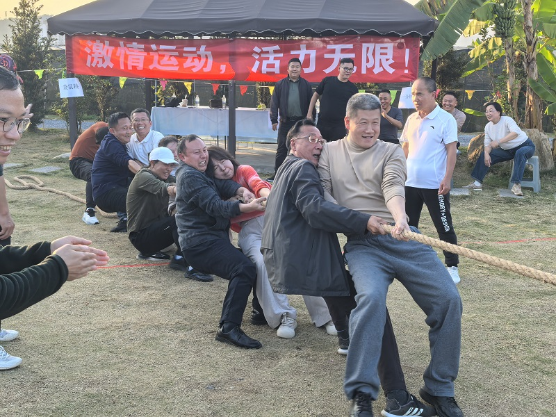 图片10