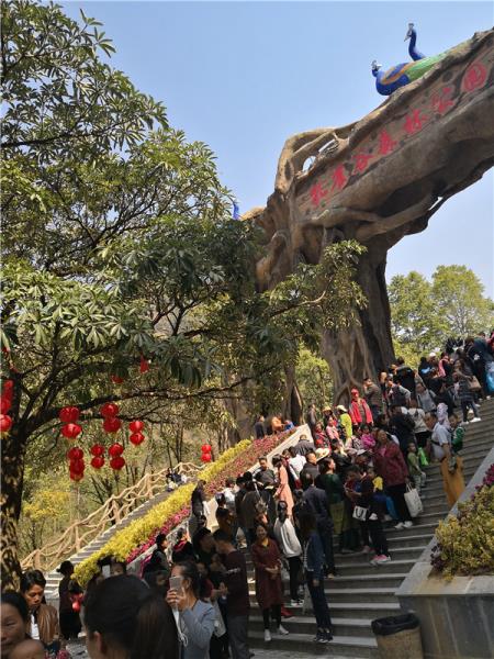 mmexport1519045446507