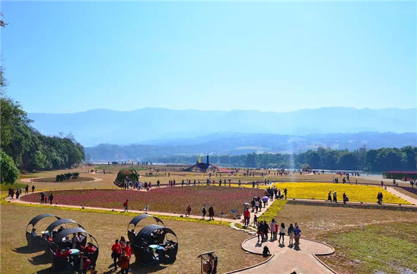 mmexport1549806756072