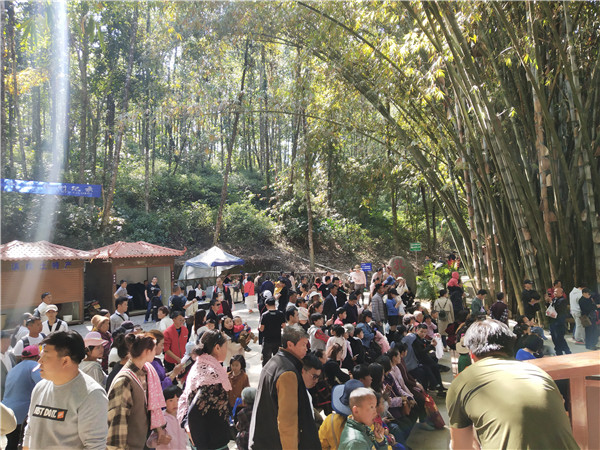 mmexport1549806812857