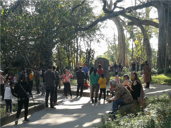 mmexport1549806937132