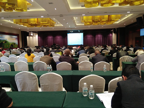 图片其版权均归原作者所有，未经许可严禁转载或建立镜像，如需转载，请与作者或本站联系