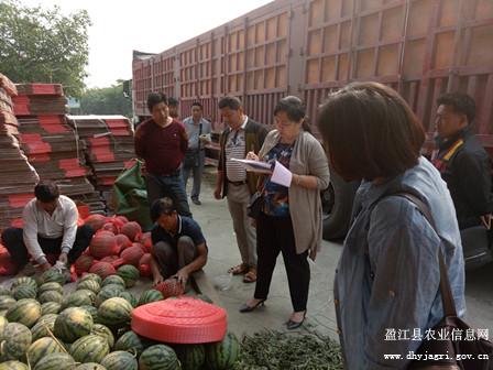 图片其版权均归原作者所有，未经许可严禁转载或建立镜像，如需转载，请与作者或本站联系