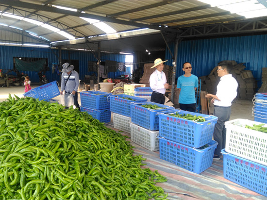 图片其版权均归原作者所有，未经许可严禁转载或建立镜像，如需转载，请与作者或本站联系