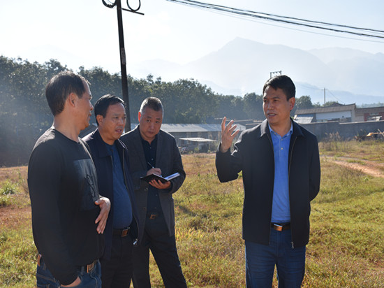 德宏州农业局领导调研农业产业化工作