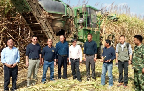 云南省农业厅调研组到德宏调研现代农业全程机械化示范区建设项目工作