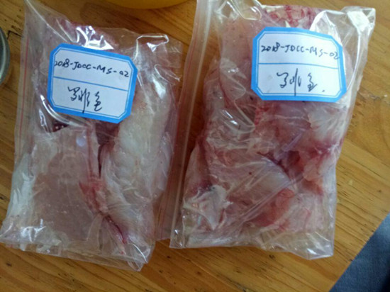 图片其版权均归原作者所有，未经许可严禁转载或建立镜像，如需转载，请与作者或本站联系