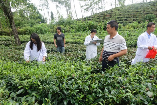 图片其版权均归原作者所有，未经许可严禁转载或建立镜像，如需转载，请与作者或本站联系
