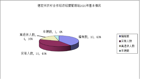 德宏州农经站2020年决算公开报告2740