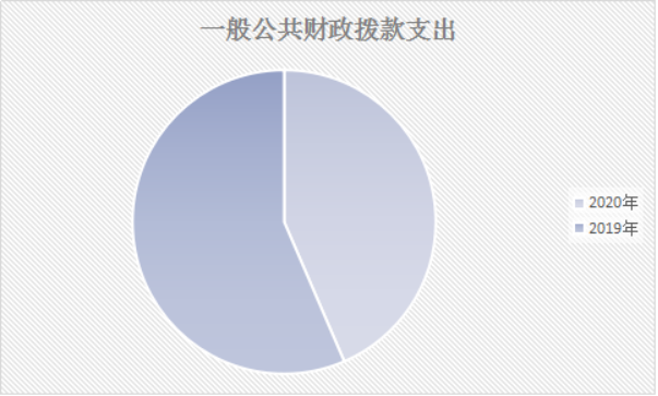 2020年决算公开报告7027