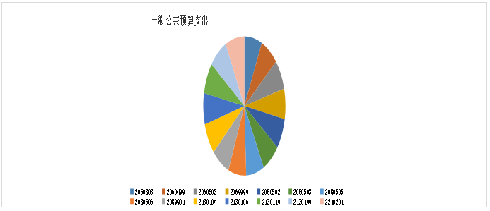 2020年德宏州农业技术推广中心决算公开文档7337