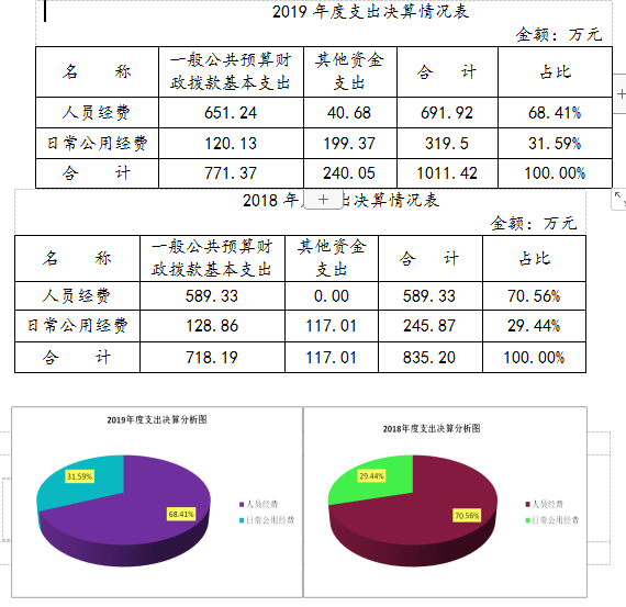 支出决算情况表及分析图4