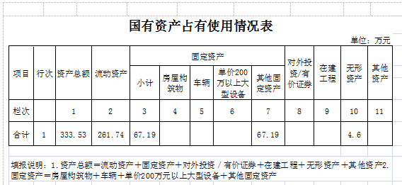 国有资产占有使用情况表8