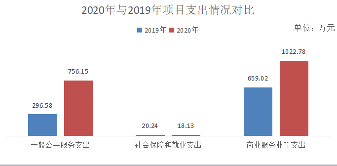 2020年与2019年项目支出情况对比