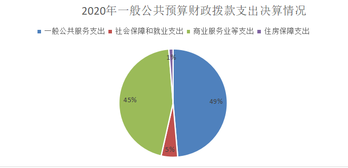 2020年一般公共预算财政拨款支出决算情况
