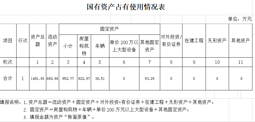 国有资产占有使用情况表