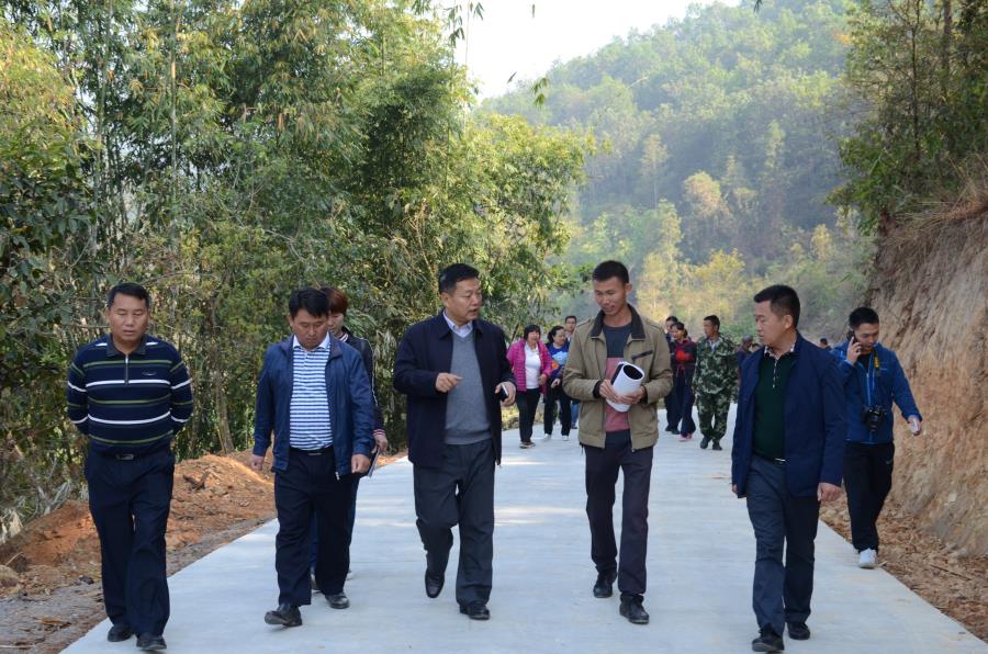 瑞丽市市长谢大鹏调研农村环境建设 杨雪梅 摄