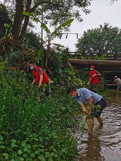 b493f70ae021afb26fd6a8986b2f869