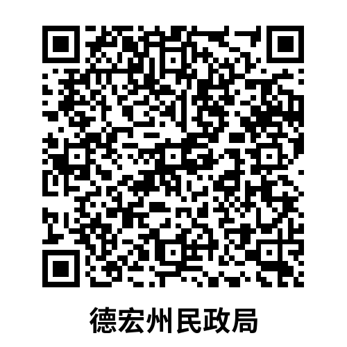 _home_user_Downloads_德宏州民政局民主评议